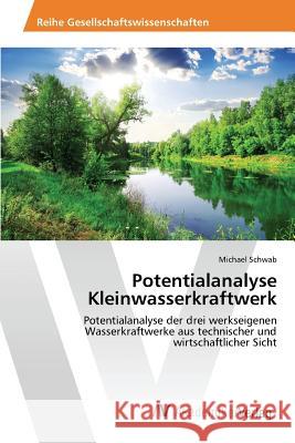 Potentialanalyse Kleinwasserkraftwerk Schwab Michael 9783639866964