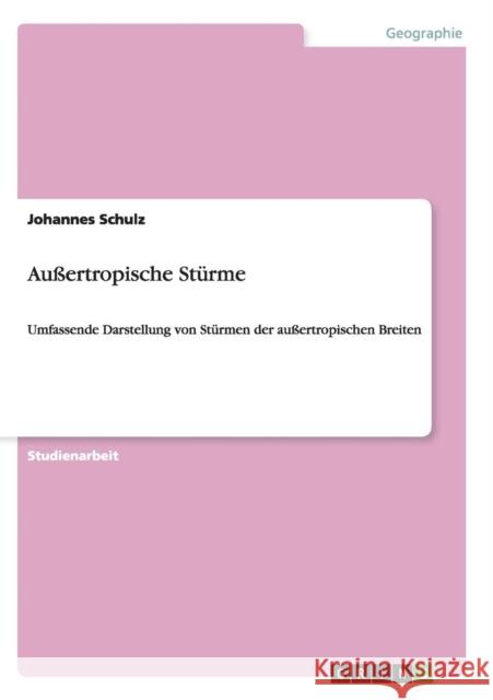 Außertropische Stürme: Umfassende Darstellung von Stürmen der außertropischen Breiten Schulz, Johannes 9783640139798 Grin Verlag