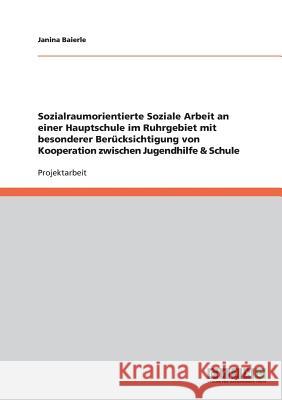 Sozialraumorientierte Soziale Arbeit an einer Hauptschule im Ruhrgebiet mit besonderer Berücksichtigung von Kooperation zwischen Jugendhilfe & Schule Baierle, Janina   9783640230846