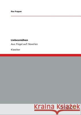 Liebesmühen: Aus: Flügel auf! Novellen Ilse Frapan 9783640234523 Grin Publishing