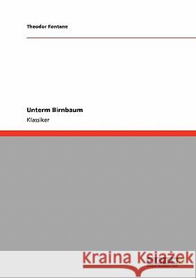 Unterm Birnbaum Theodor Fontane 9783640252770 Grin Verlag