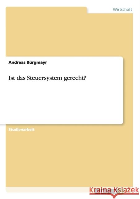 Ist das Steuersystem gerecht? Andreas B 9783640301751 Grin Verlag