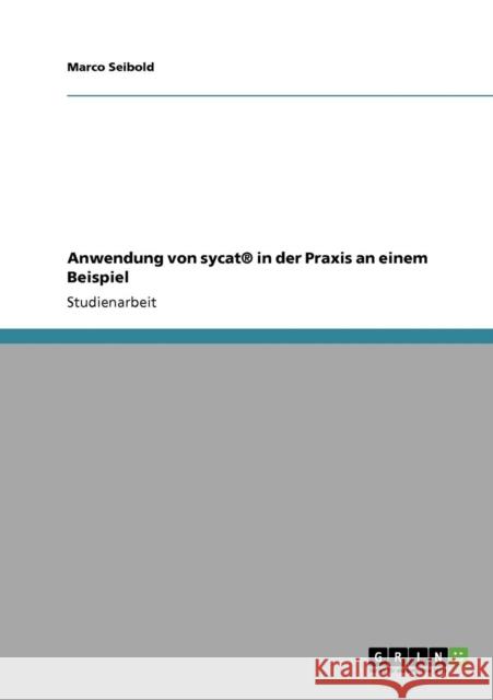 Anwendung von sycat(R) in der Praxis an einem Beispiel Marco Seibold 9783640321681 Grin Verlag