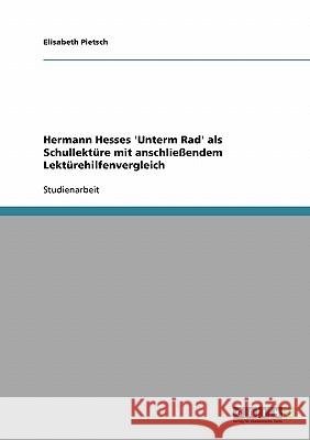 Hermann Hesses 'Unterm Rad' als Schullektüre mit Lektürehilfenvergleich Elisabeth Pietsch 9783640330751 Grin Verlag