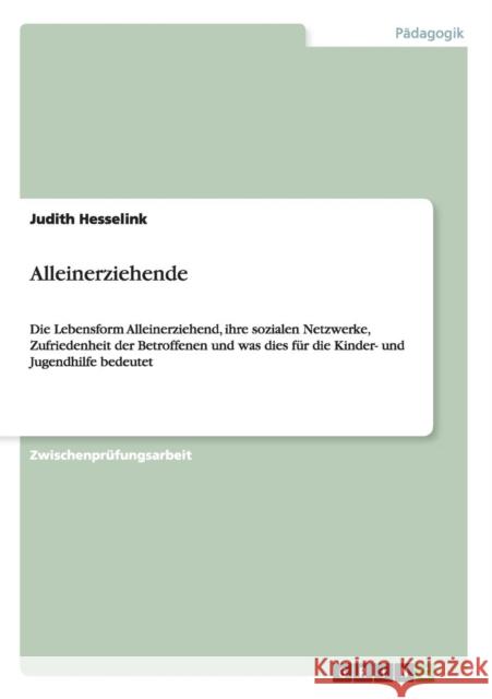 Alleinerziehende: Die Lebensform Alleinerziehend, ihre sozialen Netzwerke, Zufriedenheit der Betroffenen und was dies für die Kinder- un Hesselink, Judith 9783640336944