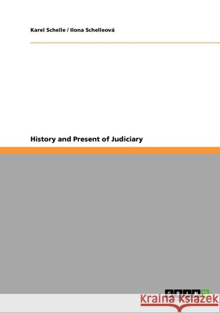 History and Present of Judiciary Karel Schelle Ilona Schelleov 9783640337859 Grin Verlag