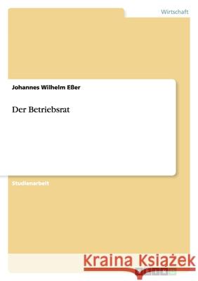 Der Betriebsrat Johannes Wilhelm E 9783640339099 Grin Verlag