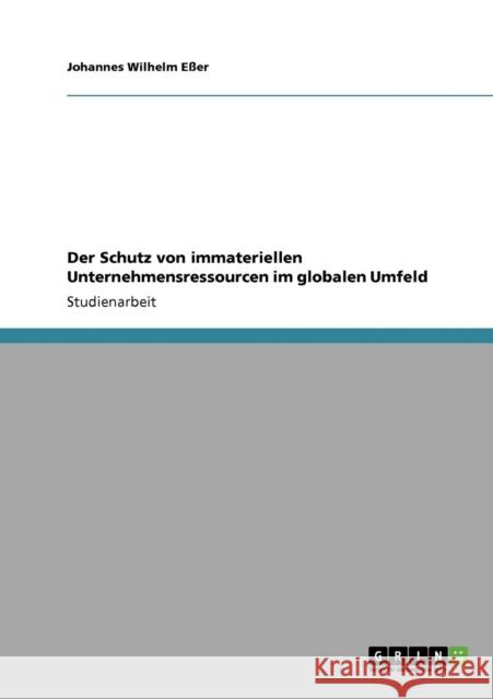 Der Schutz von immateriellen Unternehmensressourcen im globalen Umfeld Johannes Wilhelm E 9783640339150 Grin Verlag