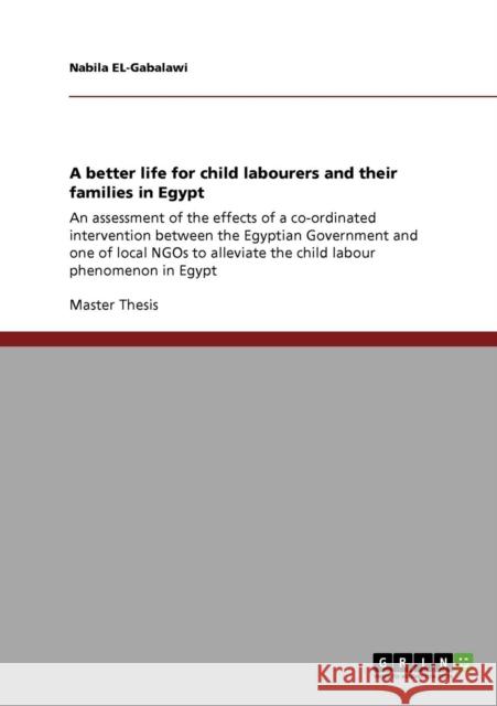 A better life for child labourers and their families in Egypt: An assessment of the effects of a co-ordinated intervention between the Egyptian Govern El-Gabalawi, Nabila 9783640455904 Grin Verlag