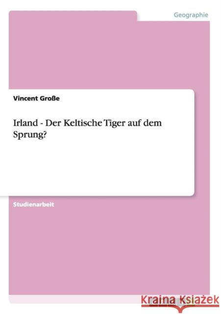 Irland - Der Keltische Tiger auf dem Sprung? Vincent Gr 9783640505074 Grin Verlag