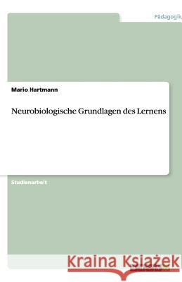 Neurobiologische Grundlagen des Lernens Mario Hartmann 9783640510245 Grin Verlag