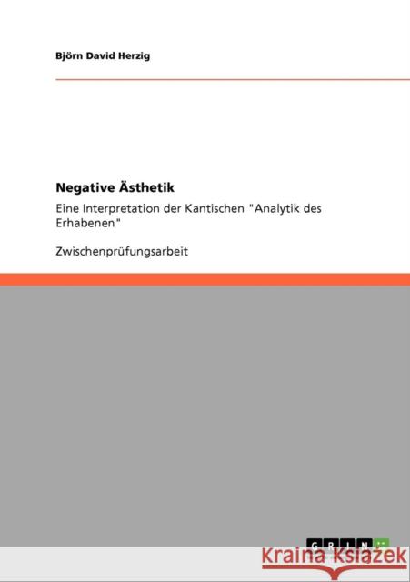 Negative Ästhetik: Eine Interpretation der Kantischen Analytik des Erhabenen Herzig, Björn David 9783640521104