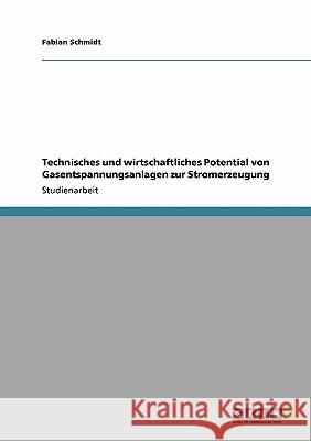 Technisches und wirtschaftliches Potential von Gasentspannungsanlagen zur Stromerzeugung Fabian Schmidt 9783640526246 Grin Verlag