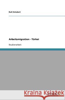 Arbeitsmigration - Türkei Rutt Schubert 9783640531974
