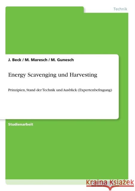 Energy Scavenging und Harvesting: Prinzipien, Stand der Technik und Ausblick (Expertenbefragung) Beck, J. 9783640545766 GRIN Verlag