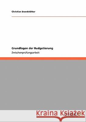 Grundlagen der Budgetierung Christian Brands 9783640545841 Grin Verlag