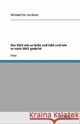 Der DAX wie er leibt und lebt und wie er nach 2007 gedeiht Christoph Frh 9783640552177 Grin Verlag