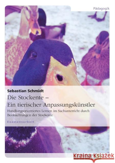 Die Stockente - ein tierischer Anpassungskünstler: Handlungsorientiertes Lernen im Sachunterricht durch Beobachtungen der Stockente Schmidt, Sebastian 9783640584741