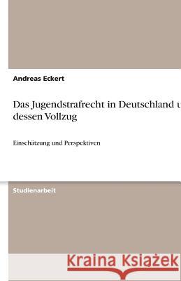 Das Jugendstrafrecht in Deutschland und dessen Vollzug : Einschätzung und Perspektiven Andreas Eckert 9783640610082 Grin Verlag