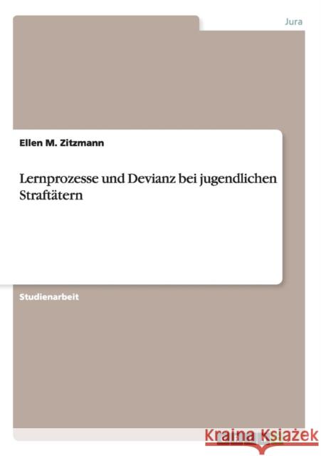 Lernprozesse und Devianz bei jugendlichen Straftätern Ellen M 9783640644810 Grin Verlag