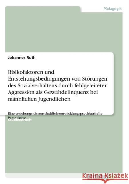 Risikofaktoren und Entstehungsbedingungen von Störungen des Sozialverhaltens durch fehlgeleiteter Aggression als Gewaltdelinquenz bei männlichen Jugen Roth, Johannes 9783640675678 Grin Verlag