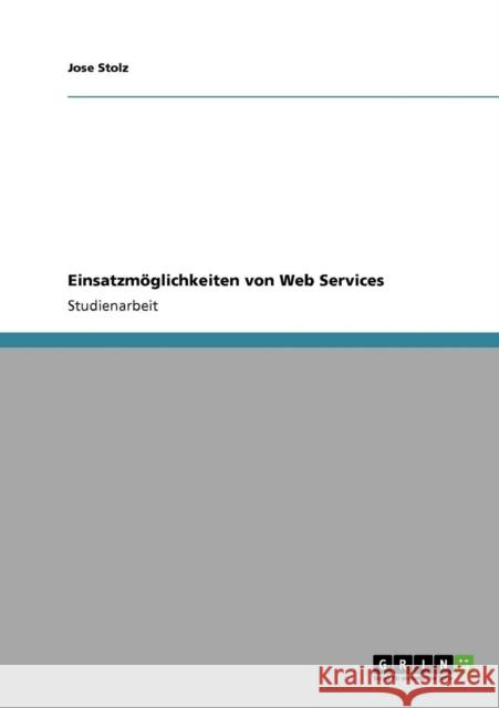 Einsatzmöglichkeiten von Web Services Stolz, Jose 9783640741700 Grin Verlag