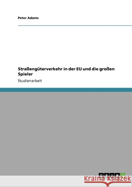 Straßengüterverkehr in der EU und die großen Spieler Adams, Peter 9783640775088 Grin Verlag