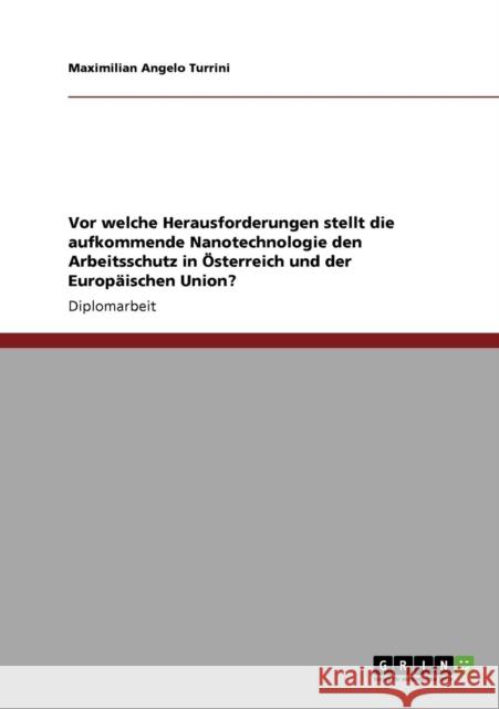 Vor welche Herausforderungen stellt die aufkommende Nanotechnologie den Arbeitsschutz in Österreich und der Europäischen Union? Turrini, Maximilian Angelo 9783640788033