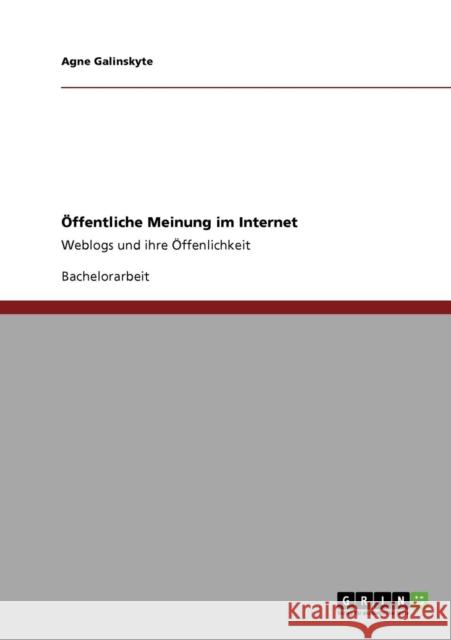 Öffentliche Meinung im Internet: Weblogs und ihre Öffenlichkeit Galinskyte, Agne 9783640814114 Grin Verlag