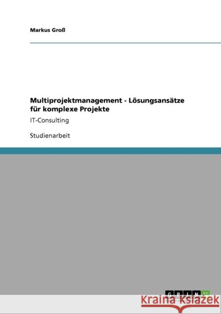 Multiprojektmanagement - Lösungsansätze für komplexe Projekte: IT-Consulting Groß, Markus 9783640814251 Grin Verlag