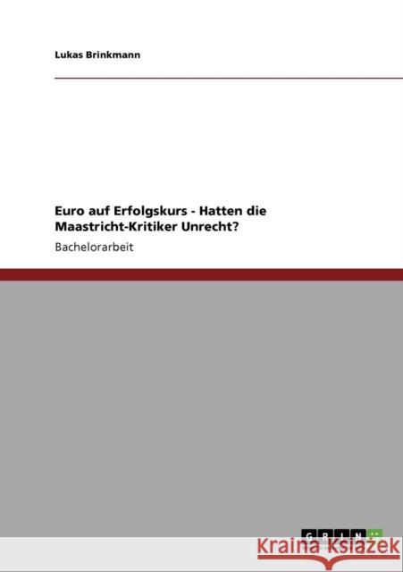 Euro auf Erfolgskurs - Hatten die Maastricht-Kritiker Unrecht? Lukas Brinkmann 9783640849635 Grin Verlag