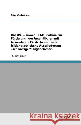 Das BVJ - sinnvolle Massnahme zur Foerderung von Jugendlichen mit besonderem Foerderbedarf oder bildungspolitische Ausgliederung 