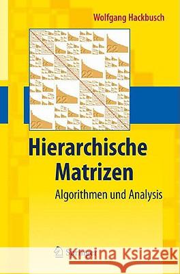Hierarchische Matrizen: Algorithmen Und Analysis Hackbusch, Wolfgang 9783642002212
