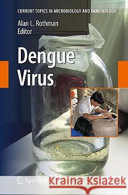 Dengue Virus Alan L. Rothman 9783642022142 Springer-Verlag Berlin and Heidelberg GmbH & 