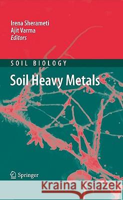 Soil Heavy Metals Irena Sherameti 9783642024351