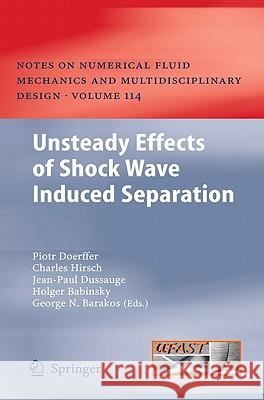 Unsteady Effects of Shock Wave Induced Separation Doerffer, Piotr 9783642030031