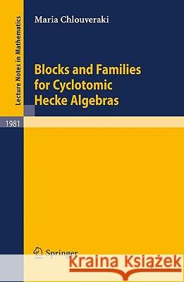 Blocks and Families for Cyclotomic Hecke Algebras Maria Chlouveraki 9783642030635 Springer-Verlag Berlin and Heidelberg GmbH & 