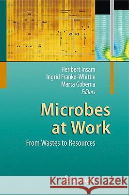 Microbes at Work: From Wastes to Resources Insam, Heribert 9783642040429 Springer