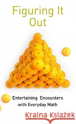 Figuring It Out: Entertaining Encounters with Everyday Math Crato, Nuno 9783642048326