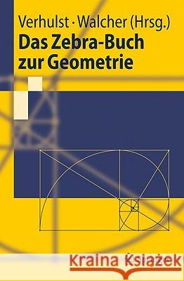 Das Zebra-Buch Zur Geometrie Verhulst, Ferdinand 9783642052477 Springer, Berlin