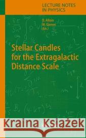 Stellar Candles for the Extragalactic Distance Scale Danielle Alloin Wolfgang Gieren 9783642057625 Not Avail