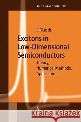 Excitons in Low-Dimensional Semiconductors: Theory Numerical Methods Applications Stephan Glutsch 9783642057816 Springer-Verlag Berlin and Heidelberg GmbH & 
