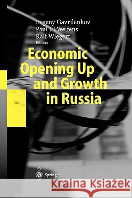 Economic Opening Up and Growth in Russia: Finance, Trade, Market Institutions, and Energy Gavrilenkov, Evgeny 9783642058035 Not Avail