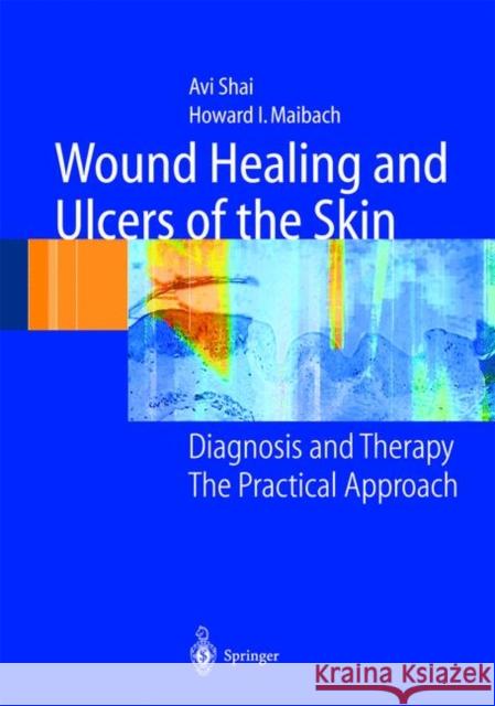 Wound Healing and Ulcers of the Skin: Diagnosis and Therapy - The Practical Approach Shai, Avi 9783642059575 Not Avail