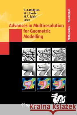 Advances in Multiresolution for Geometric Modelling Neil Dodgson 9783642059889 Not Avail