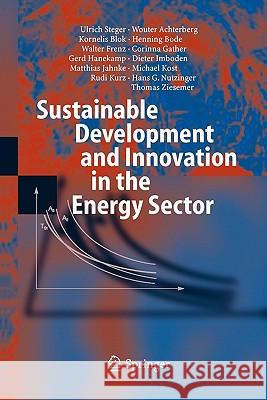 Sustainable Development and Innovation in the Energy Sector Ulrich Steger Wouter Achterberg Kornelis Blok 9783642062049 Not Avail