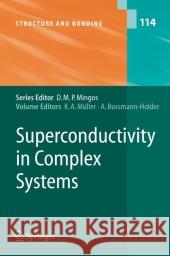 Superconductivity in Complex Systems Karl Alexander Muller 9783642062087