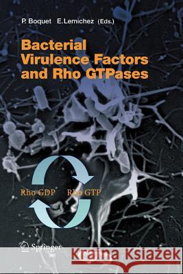 Bacterial Virulence Factors and Rho Gtpases Boquet, Patrice 9783642062803 Not Avail