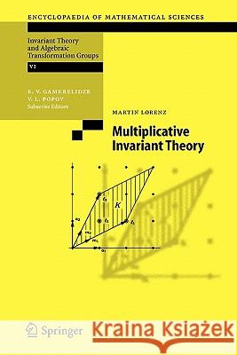 Multiplicative Invariant Theory Martin Lorenz 9783642063589 Springer