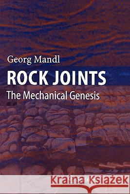 Rock Joints: The Mechanical Genesis Mandl, Georg 9783642063916